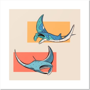 Manta Rays Posters and Art